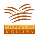 Tierras de Mollina