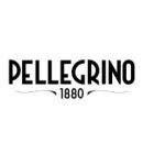 Pellegrino